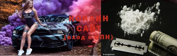 шишки Коряжма