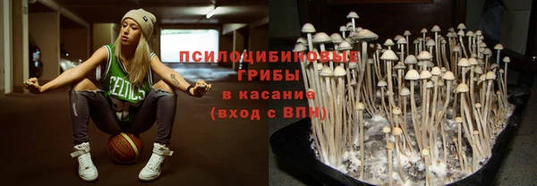 гидропоника Костерёво