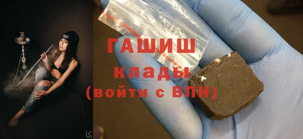 шишки Коряжма
