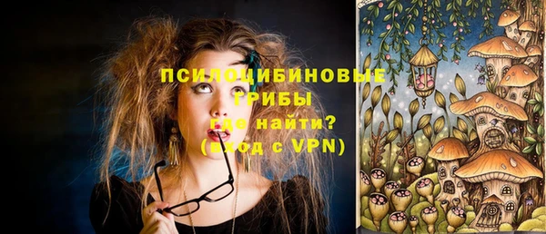 шишки Коряжма