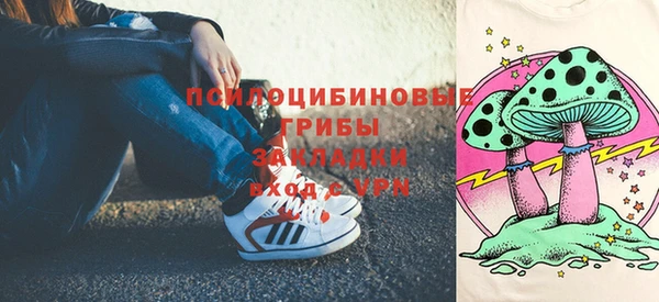 шишки Коряжма