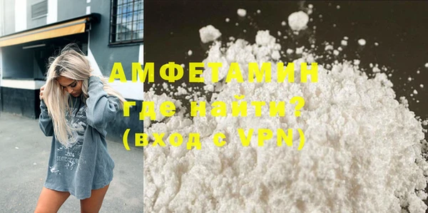 шишки Коряжма