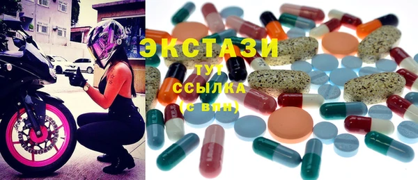 шишки Коряжма