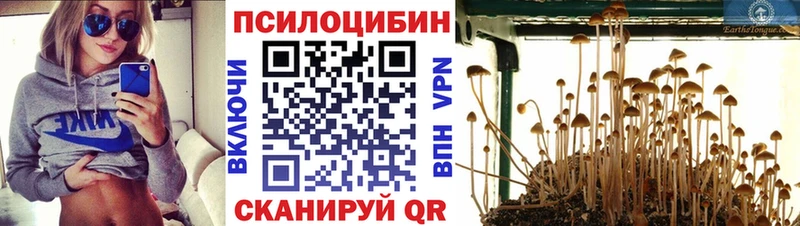 Купить закладки  Мостовской  Галлюциногенные грибы ЛСД 
